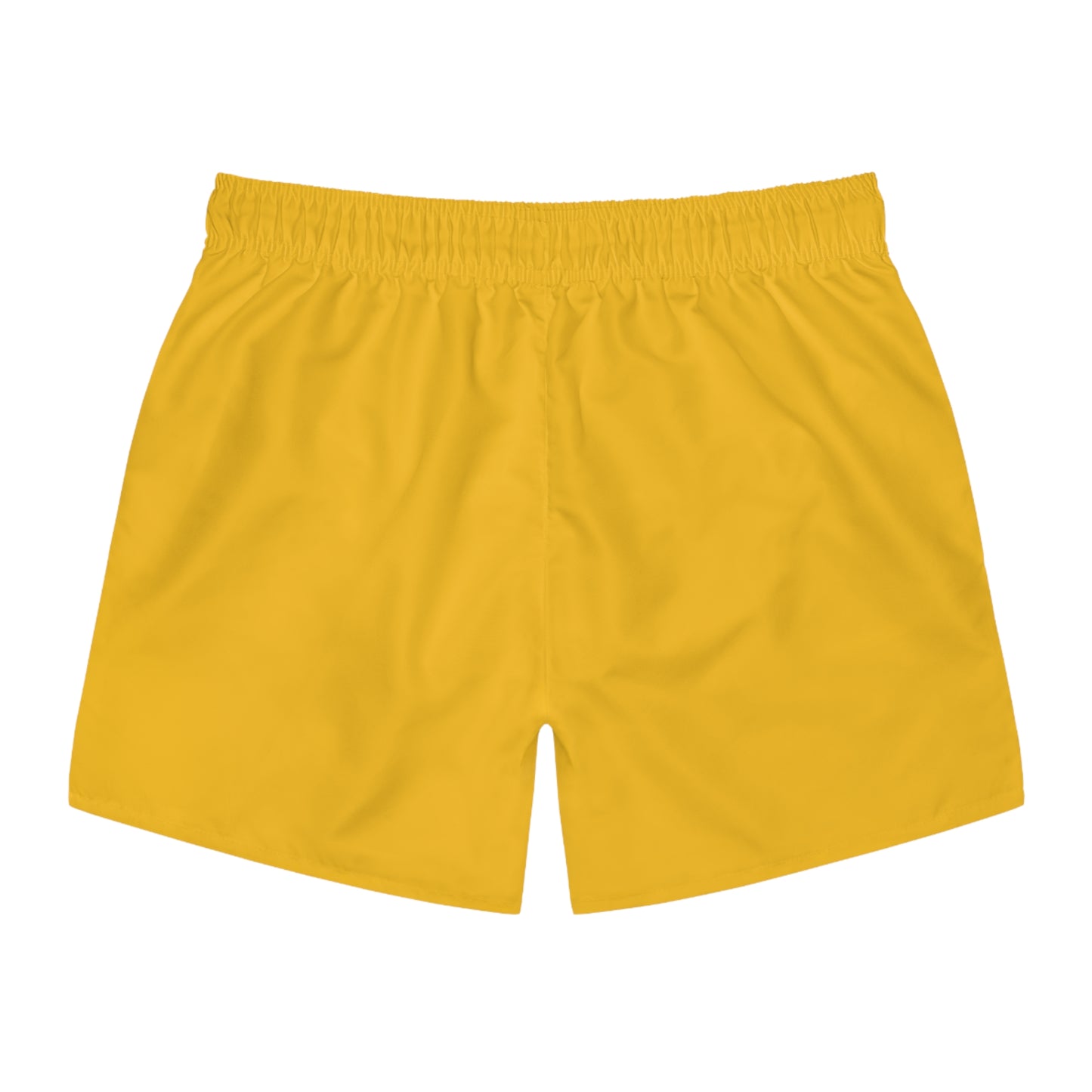 LGBTQ+ Pride Swim Trunks