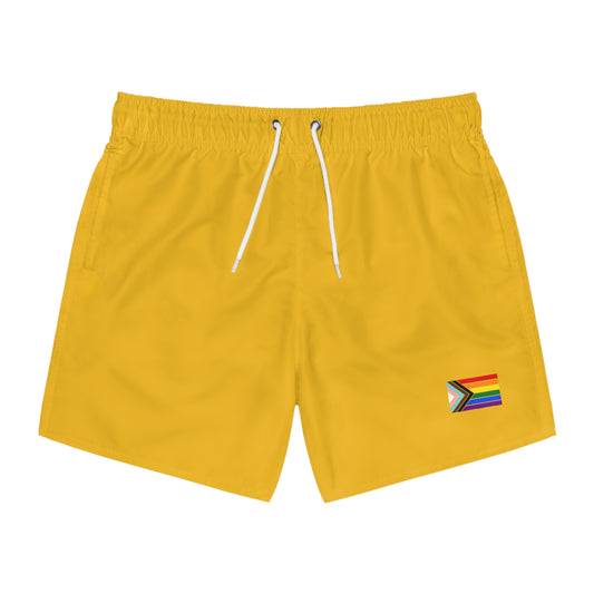 LGBTQ+ Pride Swim Trunks